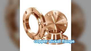 Mặt bích đồng-niken: Khả năng chống ăn mòn nước biển vượt trội cho đường ống biển