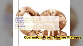 ASME B16.5 Đồng Niken trượt trên đường ống biển mặt bích