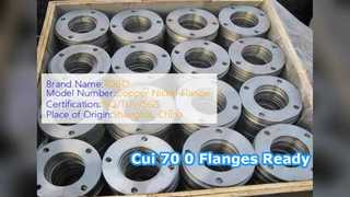 Cui 70 0 SW Mặt bích rèn ASME B6 Cl 0 Sẵn sàng