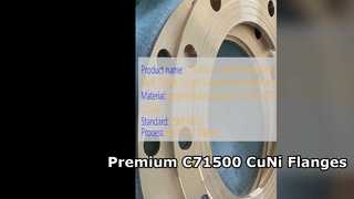 C71500 CuNi 70 30 Mặt bích hàn cổ cao cấp Chất lượng rèn