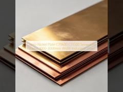 Tấm niken Cupro chất lượng cao C70600 C71500 công nghiệp